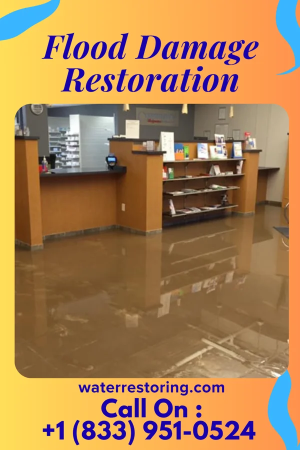 Flood Damage Restoration in Pleasant Dale, NE