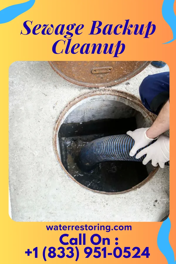Sewage Backup Cleanup in Pleasant Dale, NE